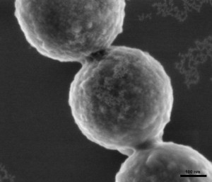 Artificial Antibody on Silica Nanoparticle
