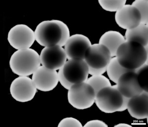 Silica Nanoparticle-DF