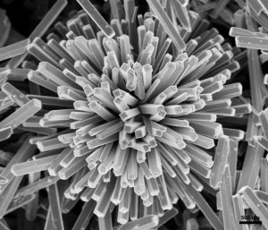 Urchin-like Octahedral Molecular Sieves