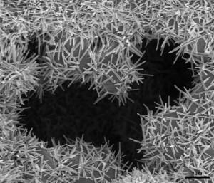 Nanorods Grown on Honeycomb Monolith