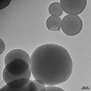 Drug Loaded Mesoporous Silica Nanoparticles