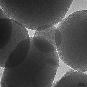 Drug Loaded Mesoporous Silica Nanoparticles Zoom In View